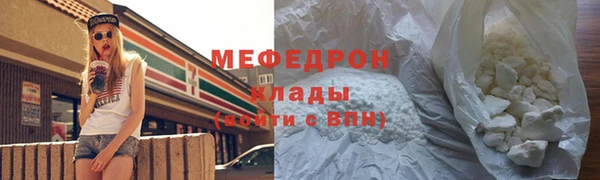 мдпв Каменка