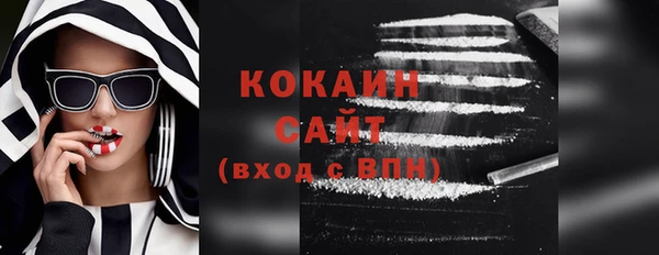 мдпв Каменка