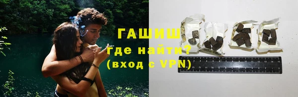 мдпв Каменка