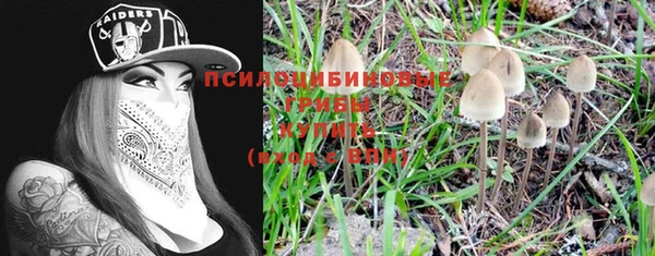 мдпв Каменка