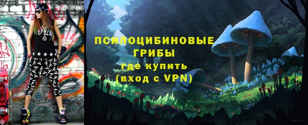мдпв Каменка