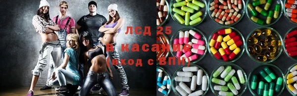 мдпв Каменка