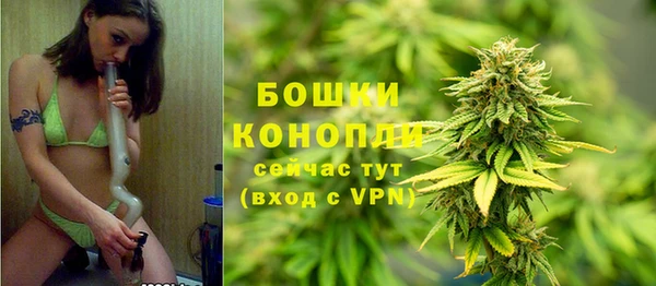 мдпв Каменка