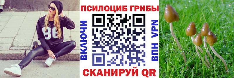 Купить  Георгиевск  Галлюциногенные грибы Magic Shrooms 